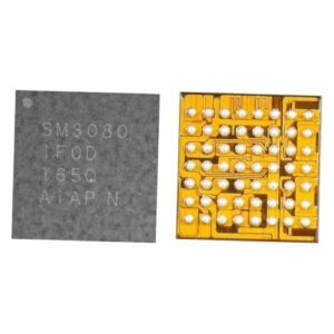 IC SM3080